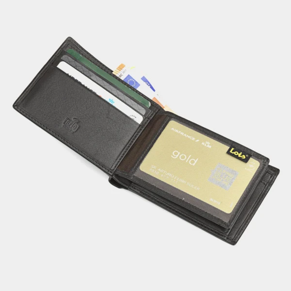 Cartera Lois Wilson 11 Cartera Lois Wilson - Imagen 9